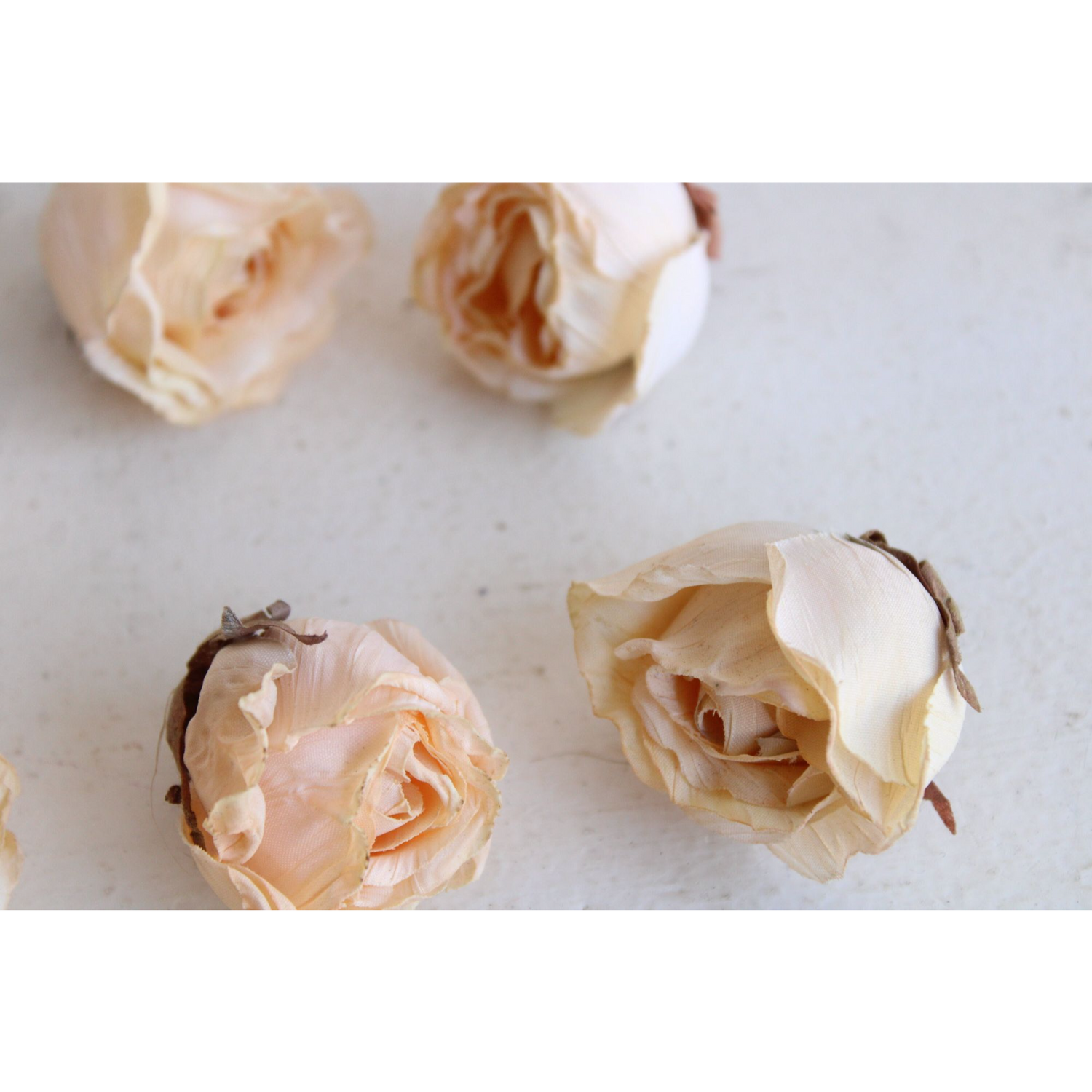 Vintage Silk Cream Rose Flowers, Half Dozen – Toadstool Farm Vintage